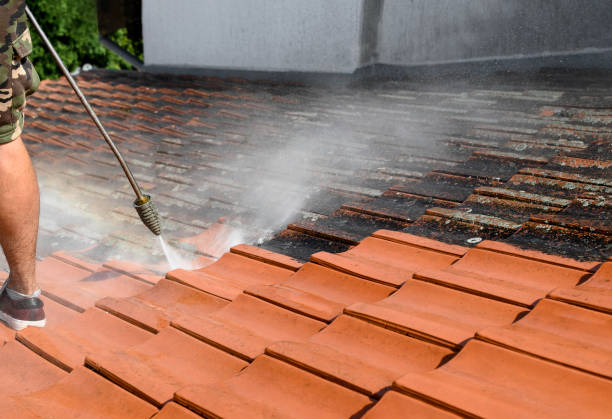 Best Pressure Washing Company Near Me  in Libertyvle, IL