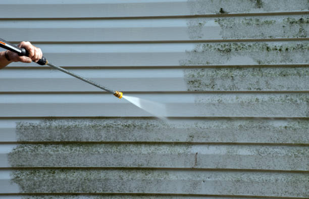 Best Residential Pressure Washing Services  in Libertyvle, IL